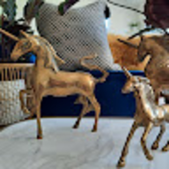 Meet your Posher, Talia - Picture 1 of 1